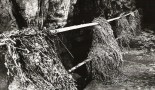 Floated remains of agricultural crops and soil in the Domica Cave after the flood in 1981. Photo: J. Sýkora