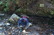 Collection of water fauna, Spring at the Vyvieranie Cave (Foto: D. Haviarová)