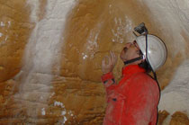 Bat monitoring, Suchá Cave (Photo: Z. Višňovská)