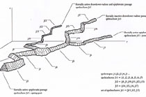 Demarcation of speleotopes, speleochores and sets of speleochores