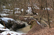 One of the active ponors bringing surface water into the cave