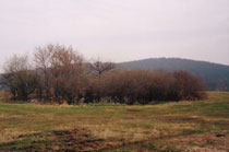 Wetland habitat on the Bodva Upland