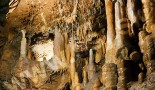 Sala Majka – Widok z bliska stalagmitowego lasku