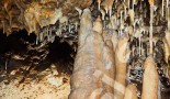 Majkova sieň - Detail stalagmitového lesíka