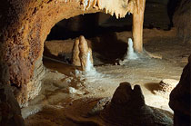 Driny-barlang