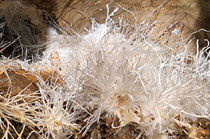 Ochtinská aragonite Cave